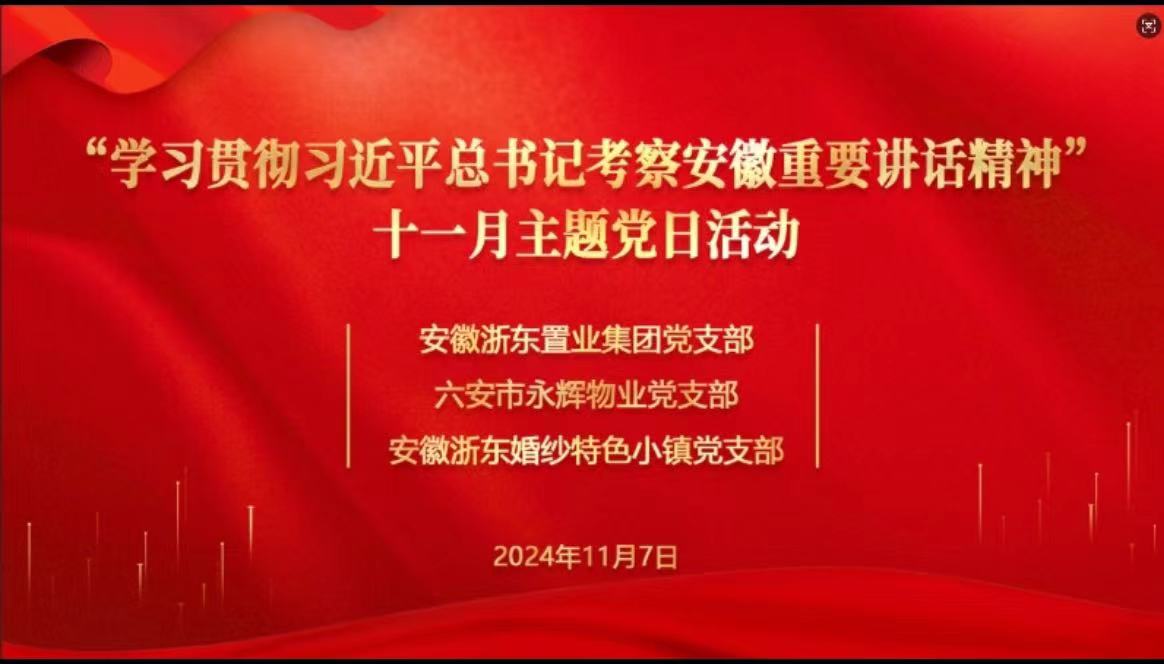 传承红色基因 凝聚奋进力量——“学习贯彻习近平总书记考察安徽重要讲话精神”十一月主题党日活动