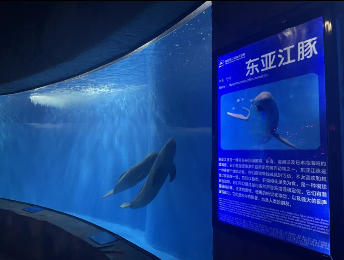 十周年！“微笑天使”游进六安